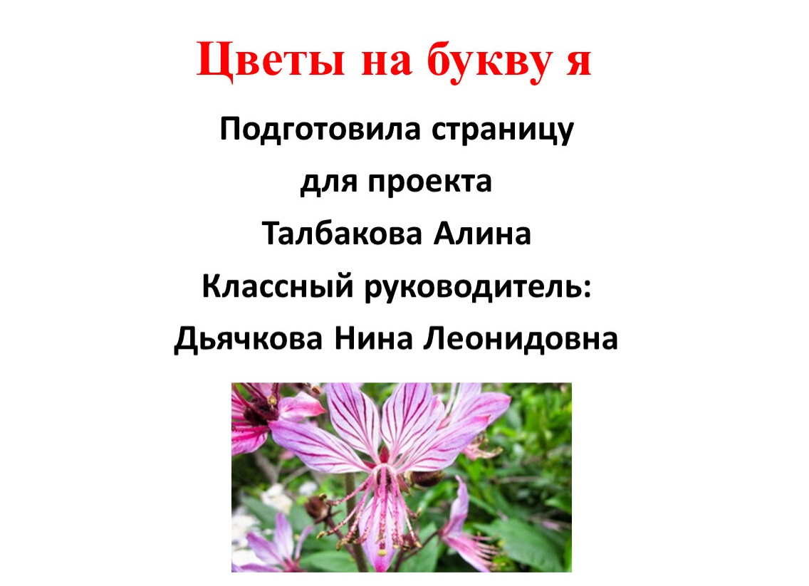 Цветы на букву Я. Фотографии и названия цветов и комнатных растений на букву Я.