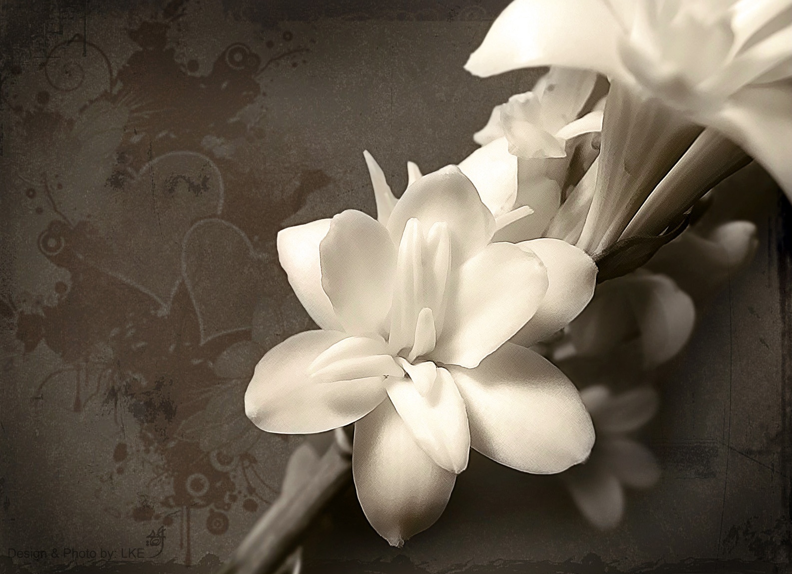 жасмин уход